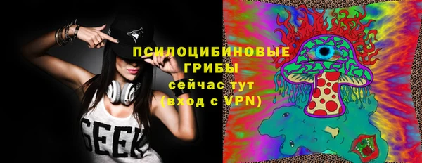 дмт Осинники