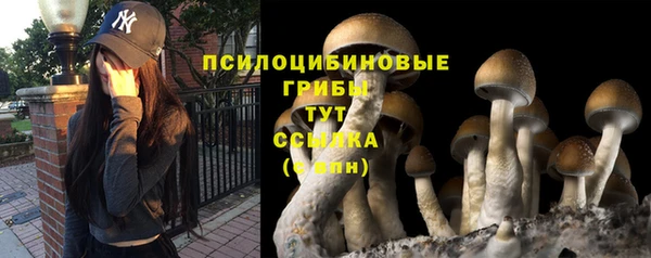 ECSTASY Нягань