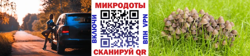 нарко площадка клад где можно купить Астрахань Псилоцибиновые грибы Psilocybine cubensis