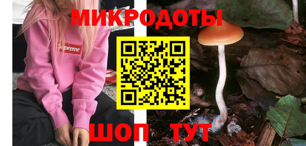 Псилоцибиновые грибы Psilocybine cubensis  где купить наркоту  Астрахань  Галлюциногенные грибы ЛСД  Вход с VPN 